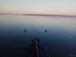 IMG_20190421_055543.jpg