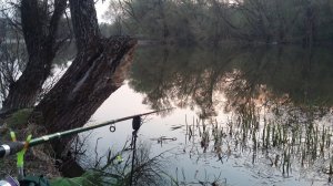 20190423_194129.jpg