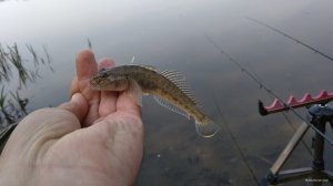 IMG_20190426_094654.jpg