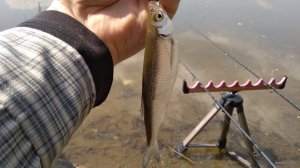 IMG_20190426_120646.jpg