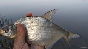 IMG_20190426_083825.jpg