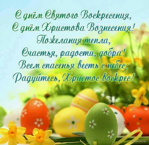 IMG_20190428_074645.jpg