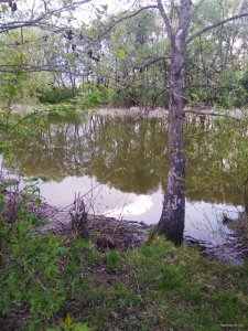 IMG_20190428_195650.jpg
