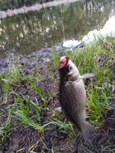 IMG_20190428_195835.jpg