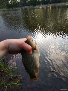 IMG_20190428_195958.jpg