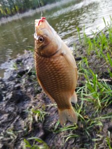IMG_20190428_200139.jpg