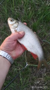 IMG_20190426_185105.jpg