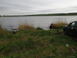 IMG_20190429_094733[1].jpg