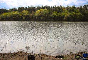 IMG_2186.JPG