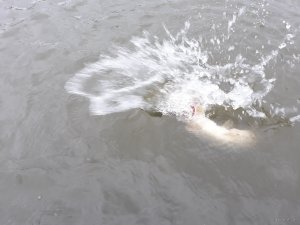 20190430_171031.jpg