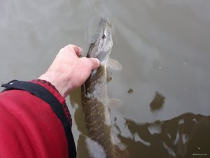 20190430_171151.jpg