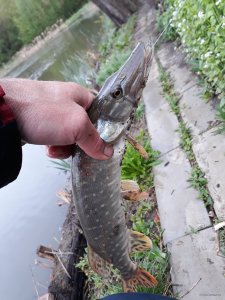 20190430_181107.jpg