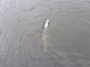 20190430_171033.jpg