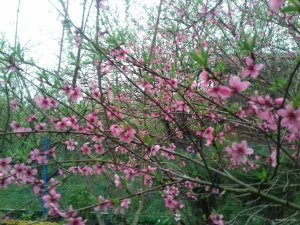 20190430_090629.jpg