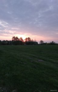 IMG_20190429_080341.jpg
