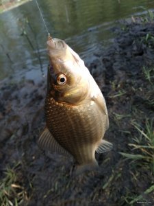 IMG_20190429_074829.jpg