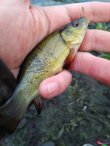 IMG_20190429_120934.jpg