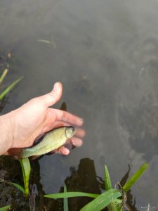 IMG_20190429_120624.jpg