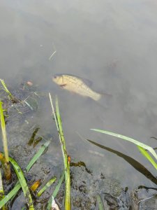 IMG_20190429_120948.jpg