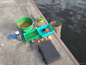 IMG_20190428_080009.jpg