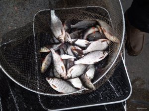 IMG_20190428_143746.jpg