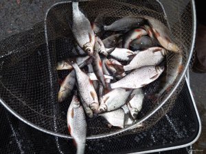 IMG_20190428_143750.jpg