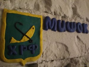IMG_20190501_163649.jpg
