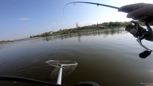 vlcsnap-2019-05-04-14h33m01s729.png