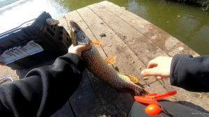 vlcsnap-2019-05-04-14h26m22s961.png