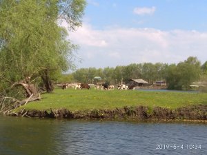 IMG_20190504_103432.jpg