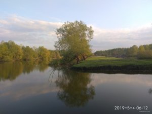 IMG_20190504_061239.jpg