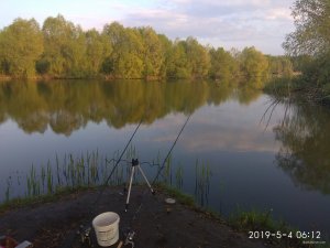 IMG_20190504_061231.jpg