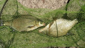 IMG_20190504_152704.jpg