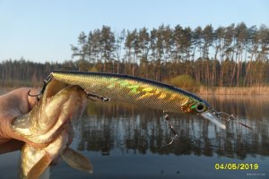 SAM_0354.JPG