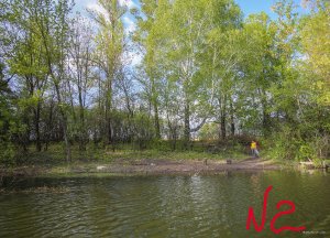 IMG_2506.JPG