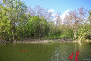 IMG_2459.JPG