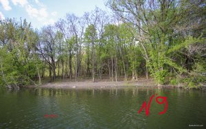 IMG_2460.JPG