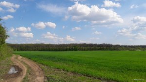 20190504_162142.jpg