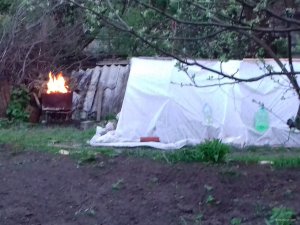 20190504_195342.jpg