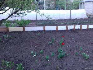 20190504_195404.jpg