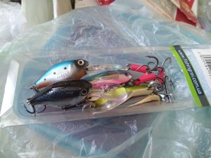 IMG_20190409_092336.jpg
