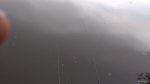 IMG_20190508_084335.jpg
