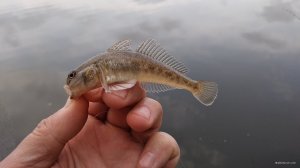 IMG_20190508_083017.jpg