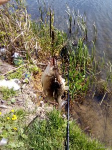 IMG_20190505_114645.jpg