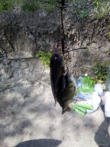 IMG_20190505_114623.jpg