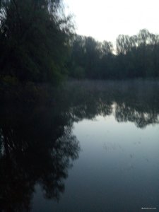 IMG_20190508_045556.jpg