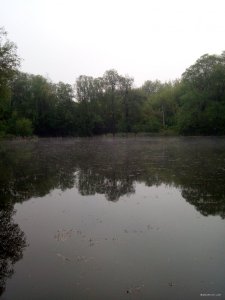 IMG_20190508_053959.jpg