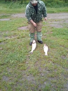 IMG_20190509_072344.jpg