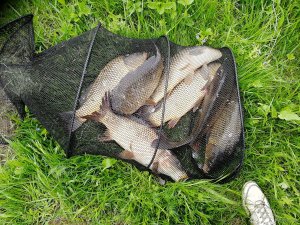 IMG_20190510_133244.jpg
