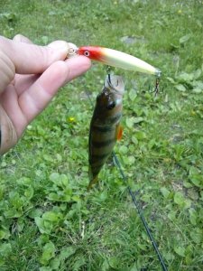 IMG_20190510_163656.jpg